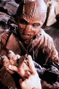 Enemy Mine